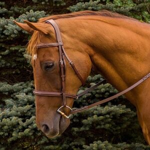 Henri De Rivel Pro Mono Crown Fancy Stitched Padded Bridle - Australian Nut